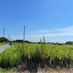 草刈り　お任せください！！　