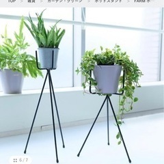 【購入者決定しました】ACTUS ポットスタンド フォークの画像