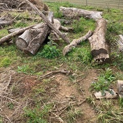 不用木材差し上げます