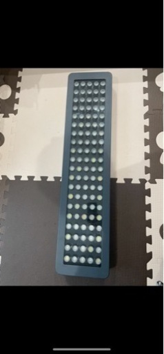 水槽　ライト　海水魚