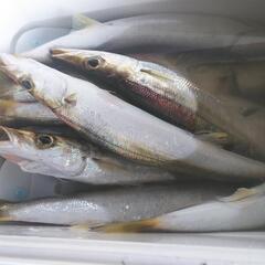 釣り仲間，釣りグループ募集😁