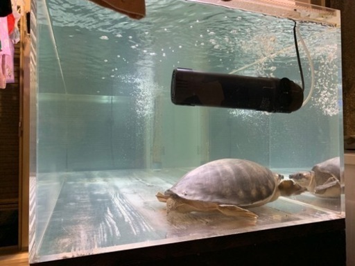 1500 オーバーフロー アクリル 水槽 150cm 大型 OF 三重管 バラ売り不可 配送可