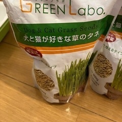 猫草栽培セットの画像