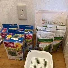 猫草栽培セット