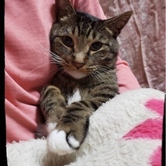 人が大好き抱っこ大好き