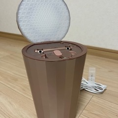 ヤーマン フォトスチーマー IS-100P