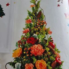 体験レッスン