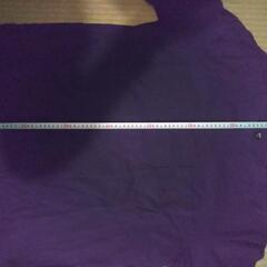 半袖ユニクロTシャツの画像