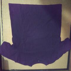 半袖ユニクロTシャツの画像