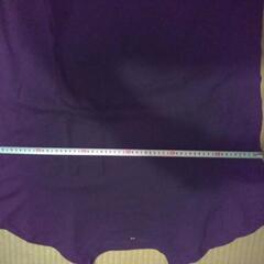 半袖ユニクロTシャツの画像