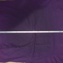 半袖ユニクロTシャツの画像