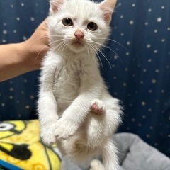 決まりました🙏