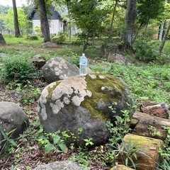 庭石差し上げます。