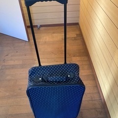 1人用のキャリーバッグです。の画像