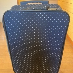 1人用のキャリーバッグです。