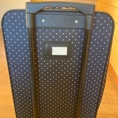 1人用のキャリーバッグです。の画像