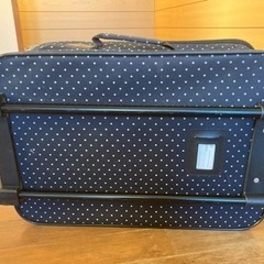 1人用のキャリーバッグです。の画像