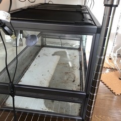 中古品爬虫類ガラスケージ90✖️45✖️45おまけ付きの画像