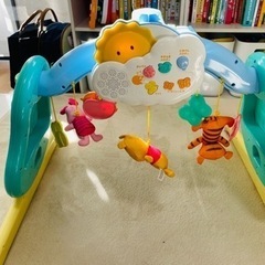 【取引き決まりました】🌟プーメリー！【お安くお譲りします】