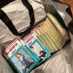 10/31まではお値引き　フルーツバスゲット全巻