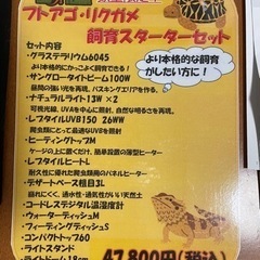 爬虫類飼育セットの画像