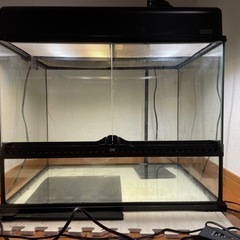 爬虫類飼育セットの画像