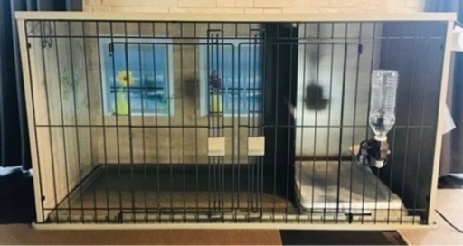 犬用ゲージ　※11/4までに引き取りで¥2000引き