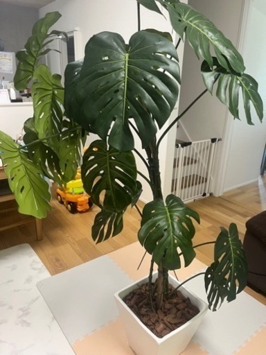 観葉植物　造花　モンステラ