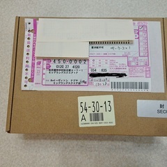 新品！正規ルイヴィトンショップより10月28日に配送受け取り　正...
