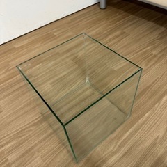 30センチキューブ水槽　の画像