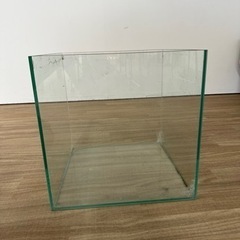 30センチキューブ水槽　