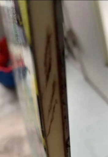 バートンBurtonスノーボード板