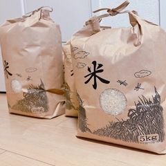 再販！！新米 令和5年10月 10kg 精米済み