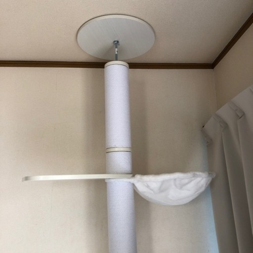 キャットタワー　突っ張りタイプ　白　　引き取り希望
