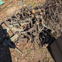 バーベキュー　薪の画像