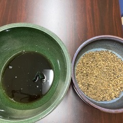 金魚鉢
