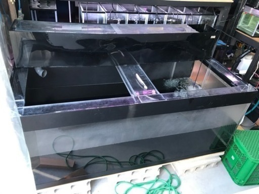 お譲り先決定‼️1500水槽　大型水槽　熱帯魚　水槽用品　水槽機材