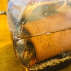 ザリガニとどじょうの画像