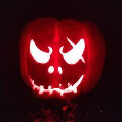 森のハロウィンナイト⭐️