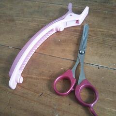 散髪セット　シャギーバサミ&前髪留めの画像