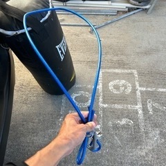 EVERLAST サンドバッグ売ります。の画像