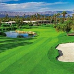 女性のゴルフ仲間募集⛳️