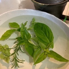 おススメの飲食店教えて下さい🙇‍♀️ (自薦他薦問わず)