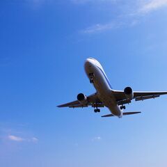 【羽田空港】航空郵便物の仕分け作業／未経験大歓迎