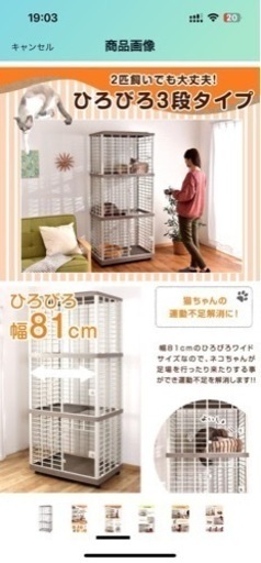 猫の小屋