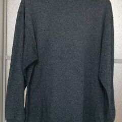 👨Tシャツ？(Mサイズ)/長袖【割りと美品】の画像