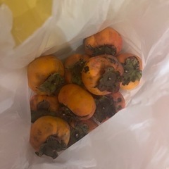 決まりました】甘柿どうぞ！