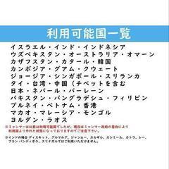 海外用SIM×2の画像