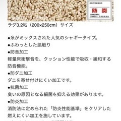 ニトリ防音・防炎・抗菌カーペットの画像