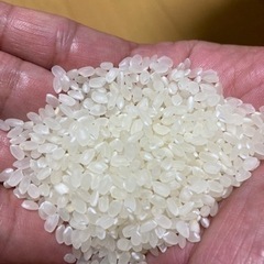 奈良県のヒノヒカリの中古が安い！激安で譲ります・無料で